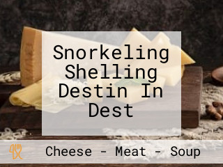 Snorkeling Shelling Destin In Dest