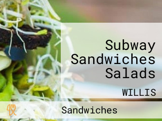 Subway Sandwiches Salads