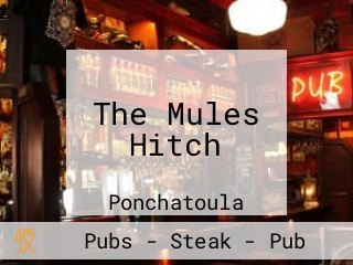 The Mules Hitch