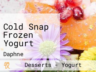 Cold Snap Frozen Yogurt