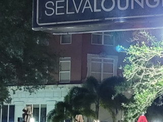 Selva Downtown Sarasota