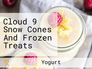 Cloud 9 Snow Cones And Frozen Treats