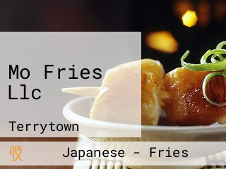 Mo Fries Llc