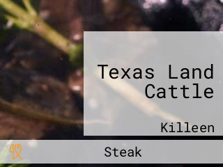 Texas Land Cattle