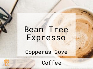 Bean Tree Expresso