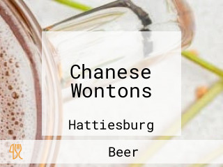 Chanese Wontons