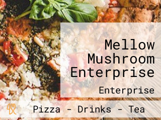 Mellow Mushroom Enterprise