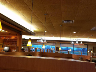 Village Inn Restaurants