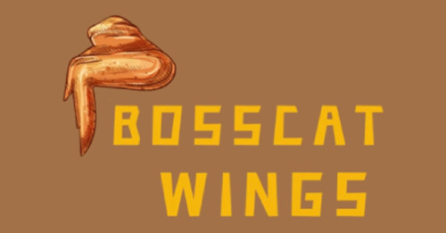 Mr Cobb's Bbq Wings