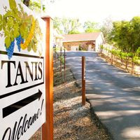 Tanis Vineyards