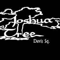 Joshua Tree Bar & Grill