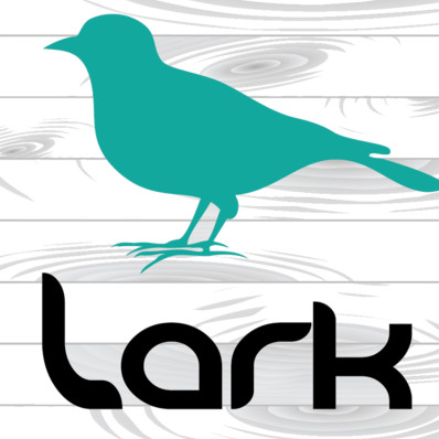 Lark Baking Company Market