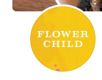 Flower Child Dc
