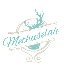 Methuselah And Lounge