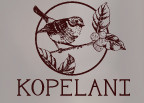 Kopelani Inc