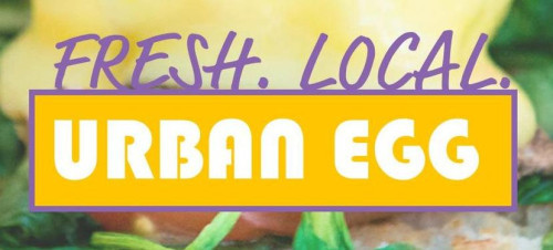 Urban Egg A Daytime Eatery