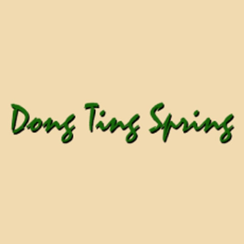 Dong Ting Spring