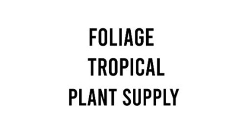 Foliage Tropical Plant Supply