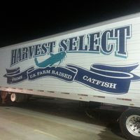 Harvest Select Farm Raised Catfish