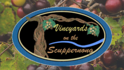 Vineyards On The Scuppernong