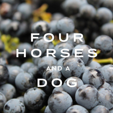 Four Horses And A Dog