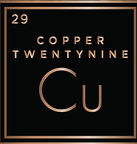 Copper 29