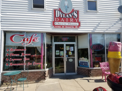 Dylan's Dairy