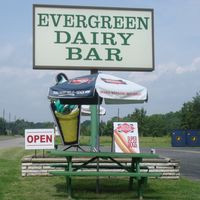 Evergreen Dairy