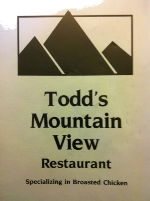 Todds Mountain View