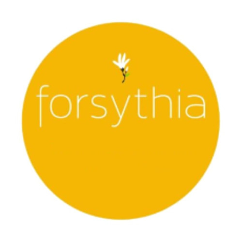 Forsythia