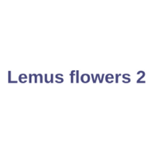 Lemus Flowers 2