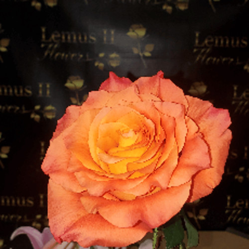 Lemus Flowers