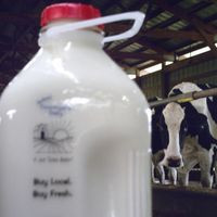 Burbach's Countryside Dairy