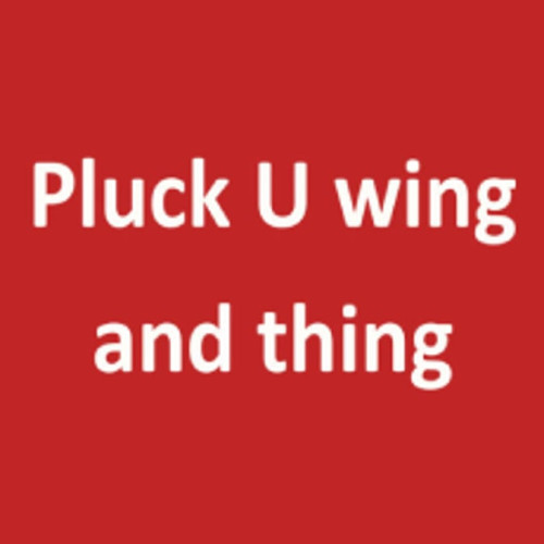 Pluck U Wing And Thing