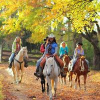 Dillard House Stables