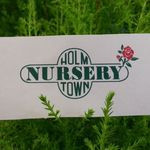 Holm Town Nursery