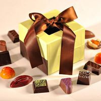 Evolution Artisan Confections