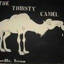 Deese's Thirsty Camel