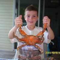 Jays Got Crabs