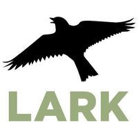 Lark On The Park