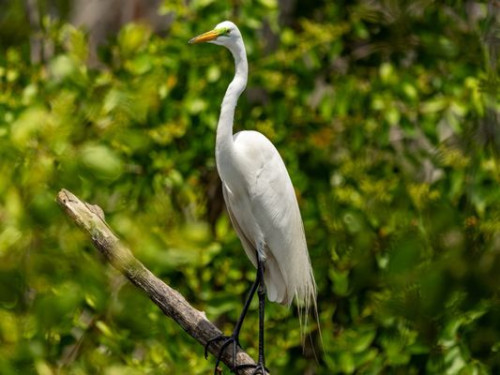 Abbondanza Key West, Fl