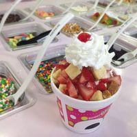 Sweetfrog Premium Frozen Yogurt