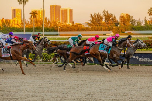 Club Fate At Gulfstream Park Racing Casino