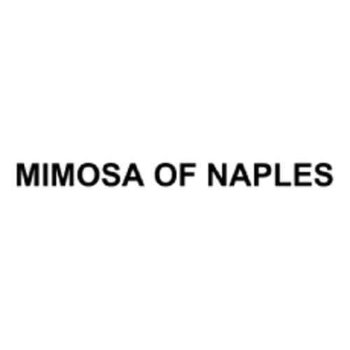 Mimosa Of Naples