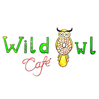 Wild Owl