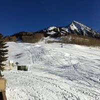 Bakery At Mt. Crested Butte/ Brown Lab Pub