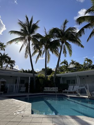 Orchid Orchid Key Inn.