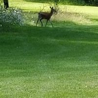 Elk Valley Golf Course