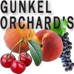 Gunkel Orchards