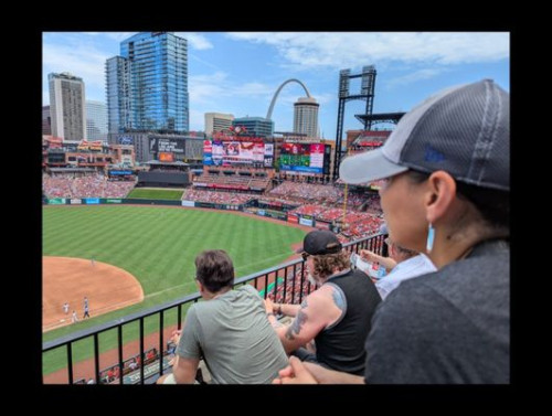 Busch Stadium Backstop